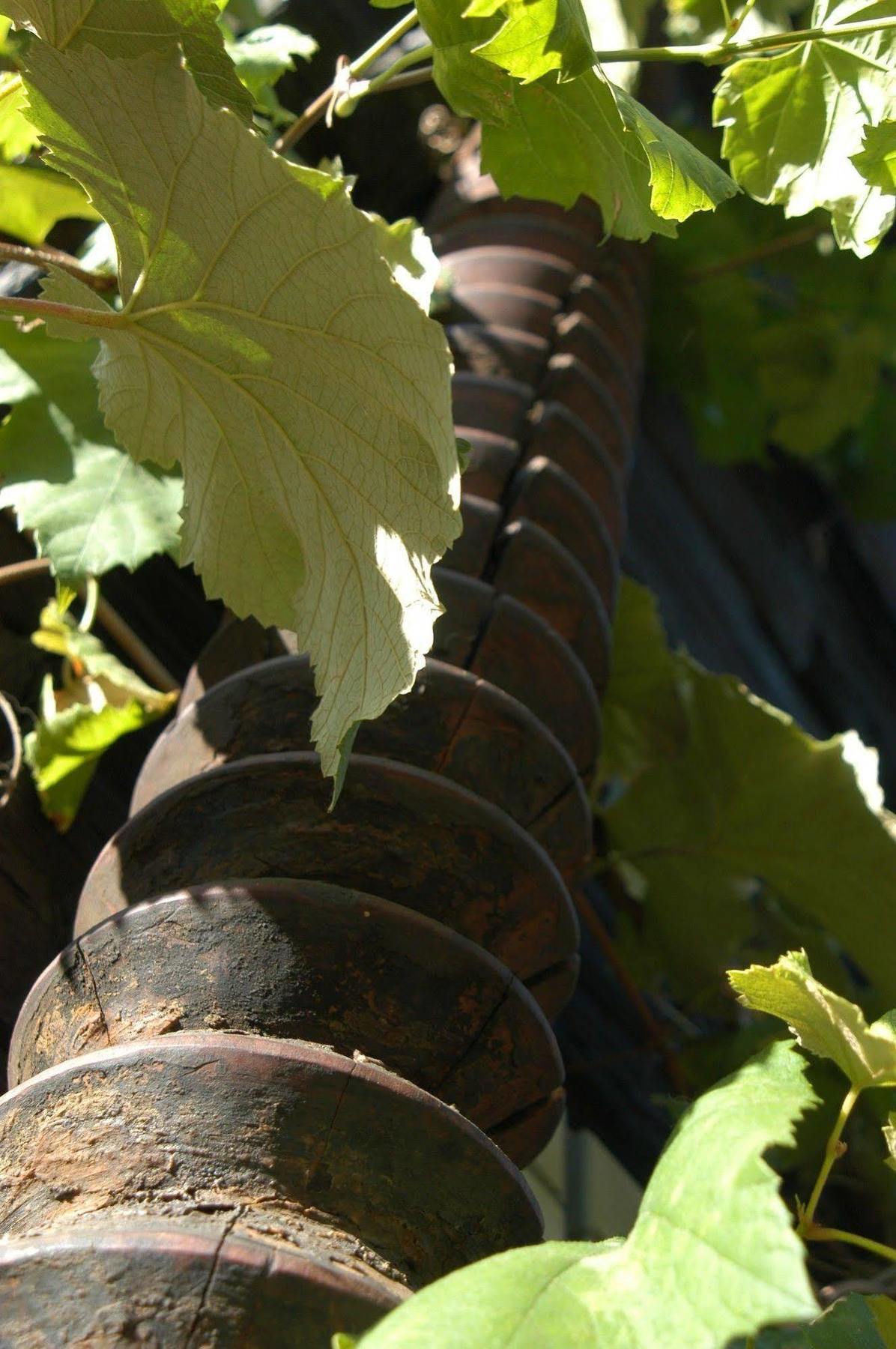 Weingut Primus Suedsteiermark Spielfeld Exterior photo