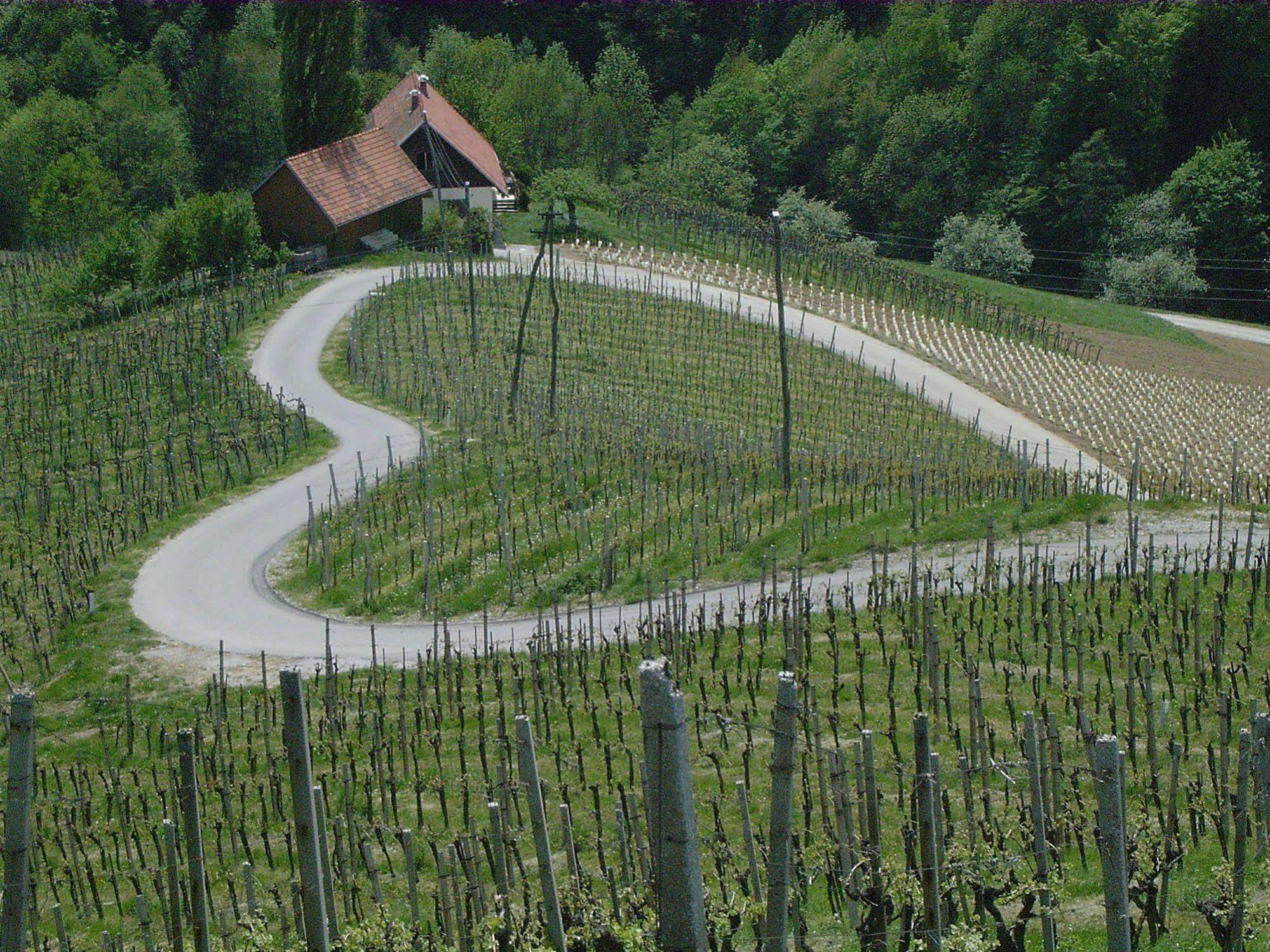 Weingut Primus Suedsteiermark Spielfeld Exterior photo