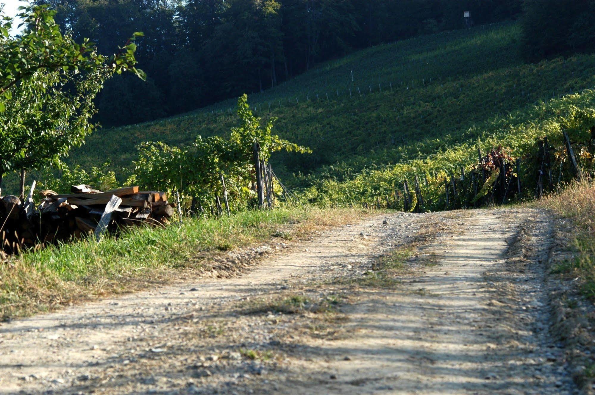 Weingut Primus Suedsteiermark Spielfeld Exterior photo